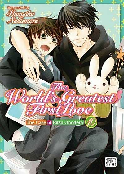 The World's Greatest First Love, Vol. 10: The Case of Ritsu Onodera, Paperback