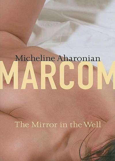 The Mirror in the Well, Paperback