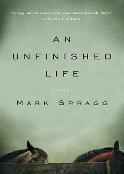 An Unfinished Life, Paperback