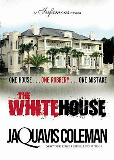 The White House, Paperback
