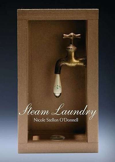 Steam Laundry, Paperback