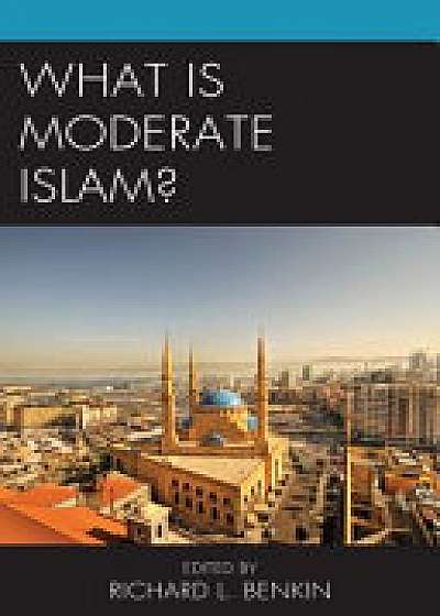 Coperta cărții What Is Moderate Islam?