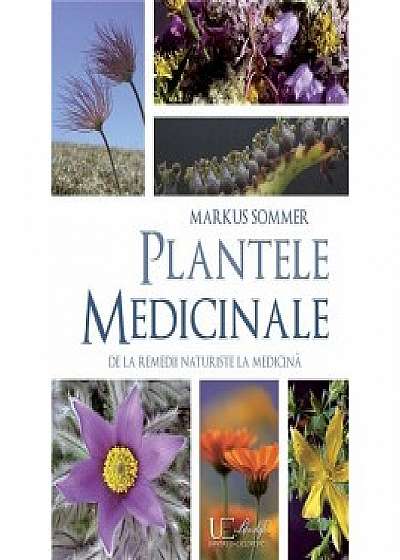 Plante medicinale De la remedii naturiste la medicina