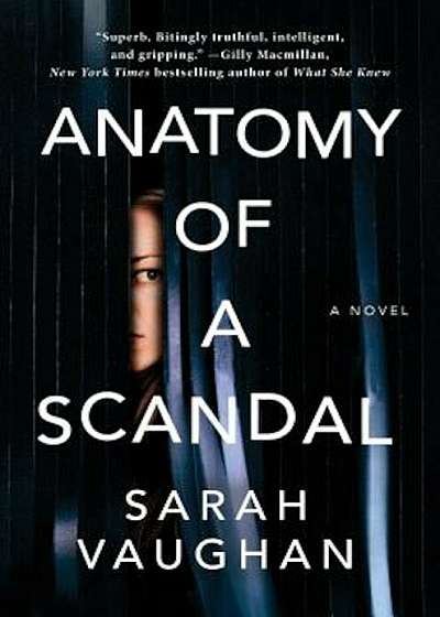 Anatomy of a Scandal, Hardcover
