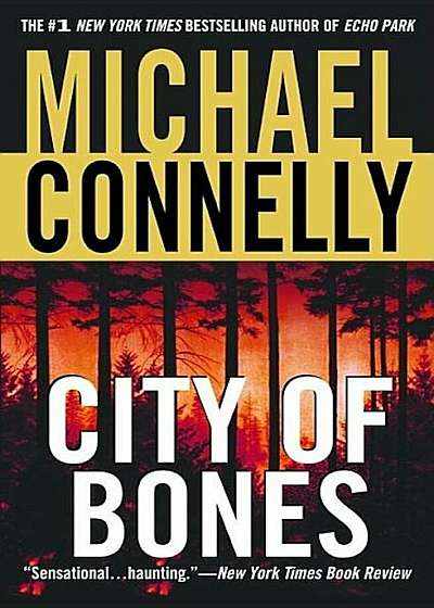 City of Bones, Paperback