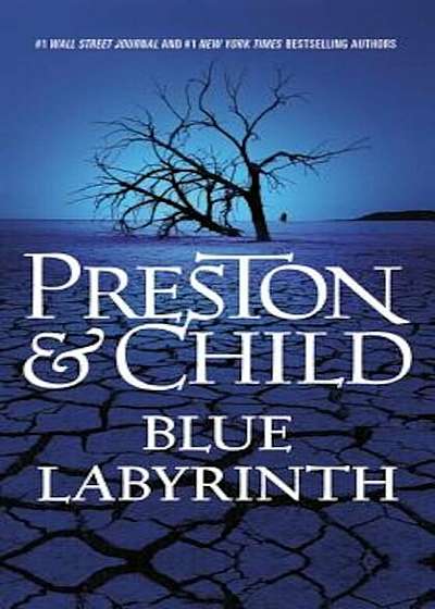 Blue Labyrinth, Paperback
