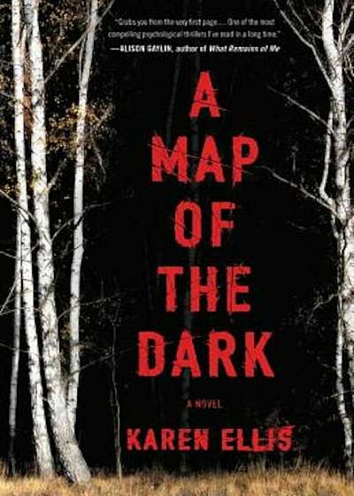 A Map of the Dark, Hardcover