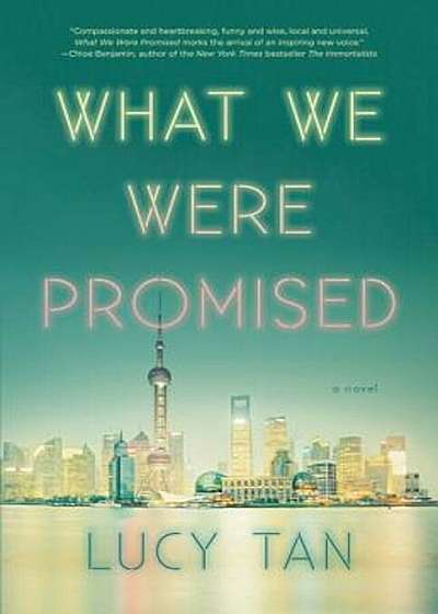 What We Were Promised, Hardcover