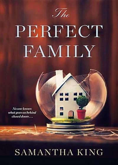 The Perfect Family, Paperback