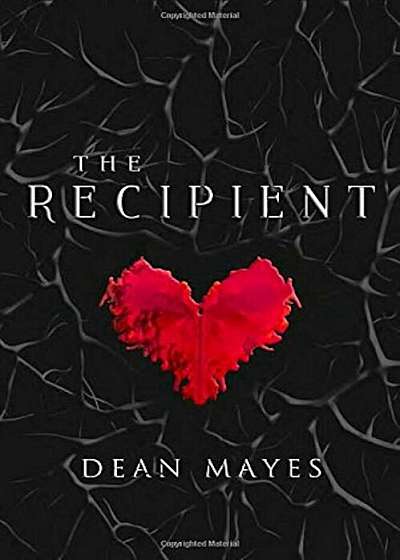The Recipient, Paperback