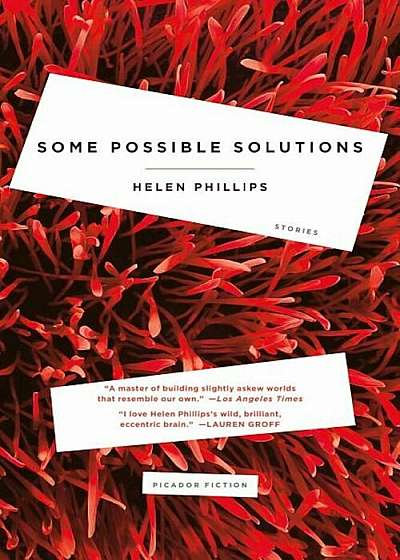 Some Possible Solutions: Stories, Paperback