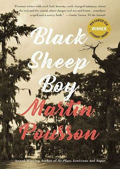 Black Sheep Boy: A Novel in Stories, Paperback