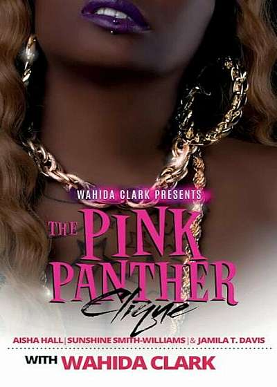 The Pink Panther Clique, Hardcover
