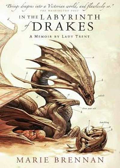 In the Labyrinth of Drakes, Paperback