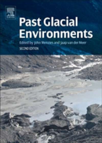 Coperta cărții Past Glacial Environments