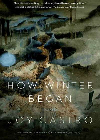 How Winter Began: Stories, Paperback