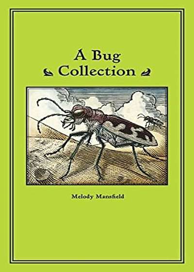 A Bug Collection, Paperback