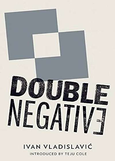 Double Negative, Paperback