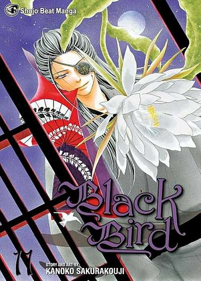 Black Bird, Vol. 11, Paperback