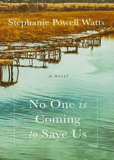 No One Is Coming to Save Us, Hardcover