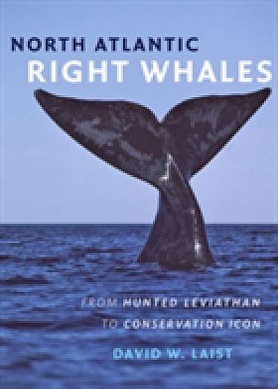North Atlantic Right Whales