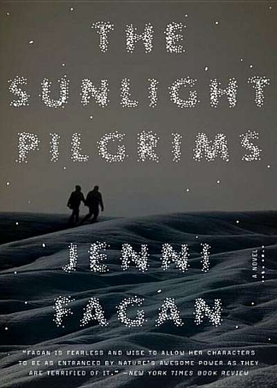 The Sunlight Pilgrims, Paperback