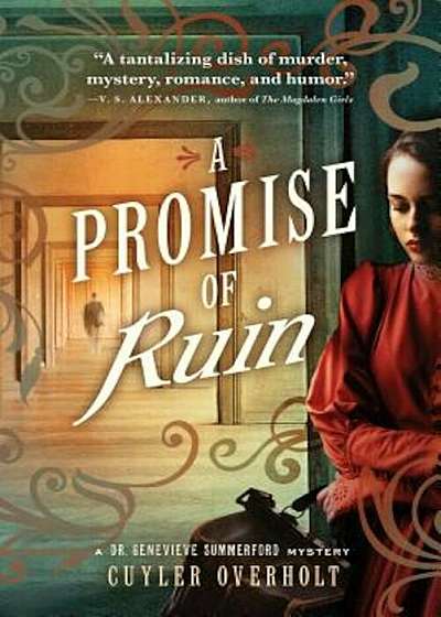A Promise of Ruin, Paperback