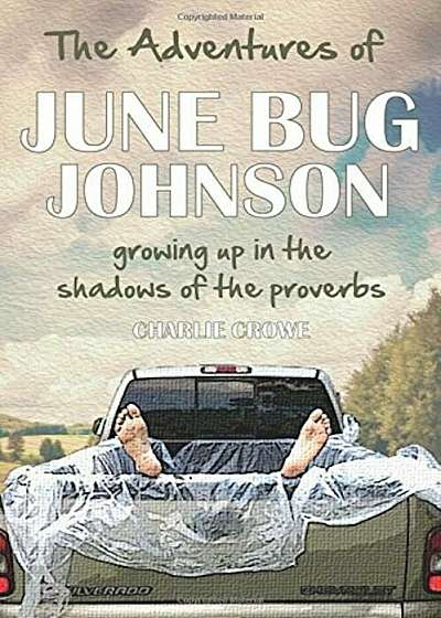 The Adventures of June Bug Johnson: Growing Up in the Shadow of the Proverbs, Paperback