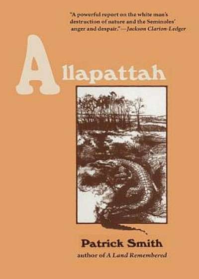 Allapattah, Paperback