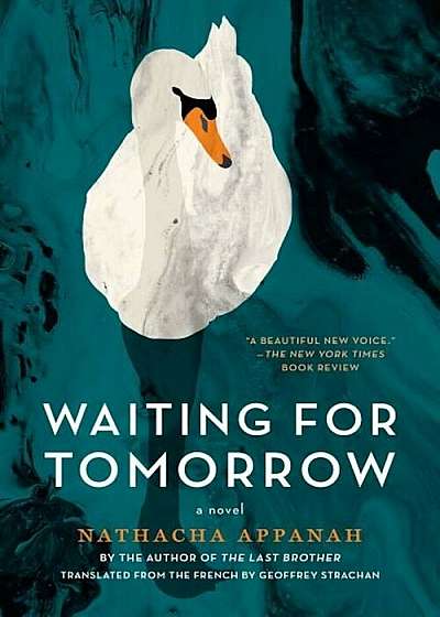 Waiting for Tomorrow, Paperback