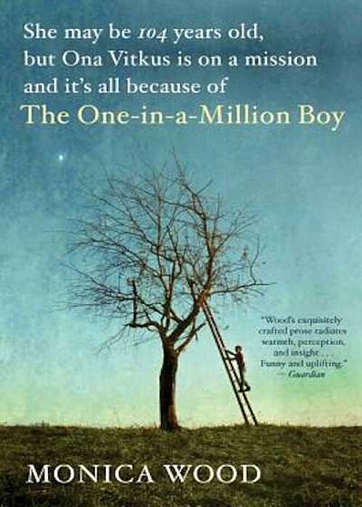 The One-In-A-Million Boy, Paperback