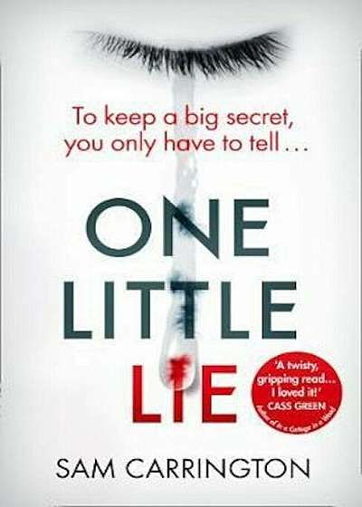 One Little Lie, Paperback