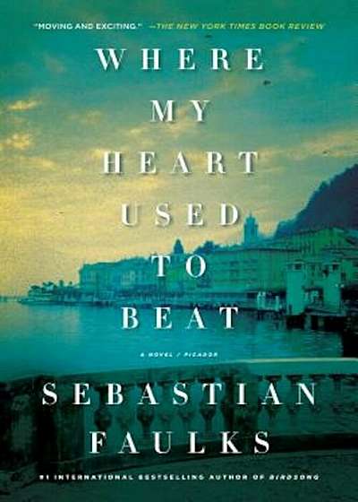 Where My Heart Used to Beat, Paperback