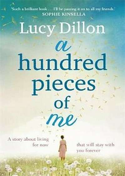 Hundred Pieces of Me, Paperback