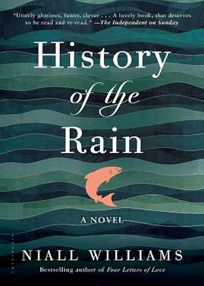 History of the Rain, Paperback