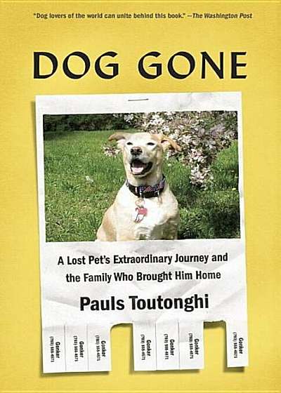 Dog Gone: A Lost Pet's Extraordinary Journey and the Family Who Brought Him Home, Paperback