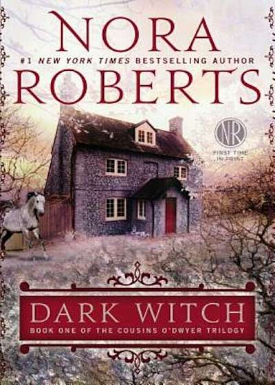 Dark Witch, Paperback