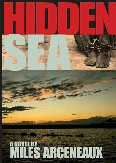 Hidden Sea, Paperback
