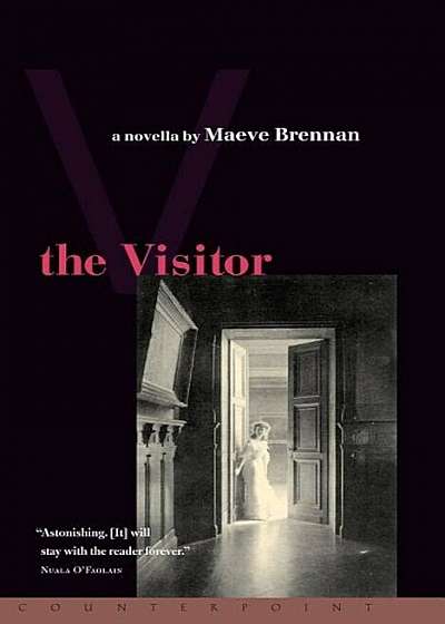 The Visitor: An Inquiry Into the Private Ownership of Land, Paperback