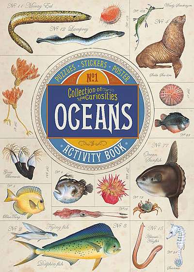 Collection of Curiosities: Oceans