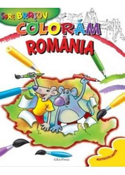 Coloram Romania: Spre Brasov