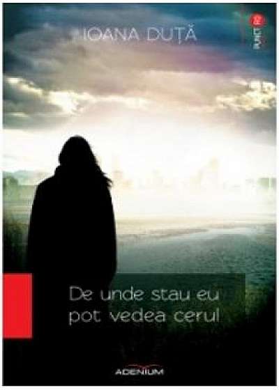 Coperta cărții De Unde Stau Eu Pot Vedea Cerul - Ioana Duta