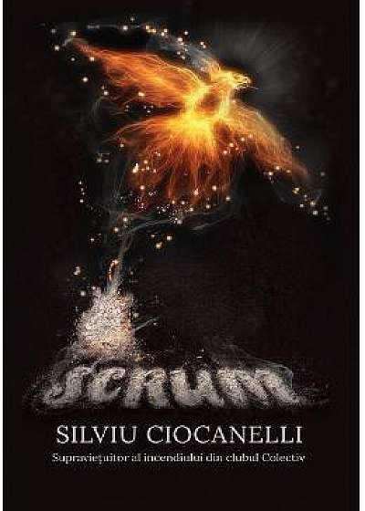 Scrum - Silviu Ciocanelli