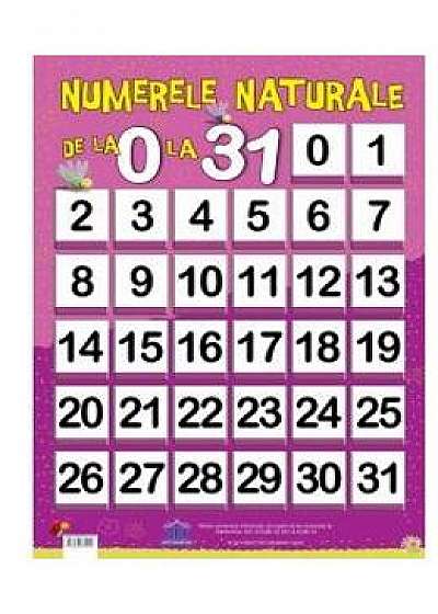 Plansa numerele naturale de la 0 la 31