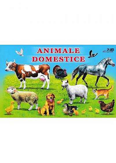 Coperta cărții Animale domestice