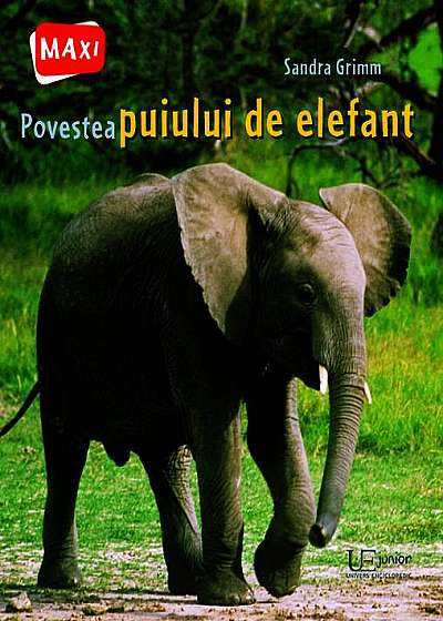 Povestea puiului de elefant
