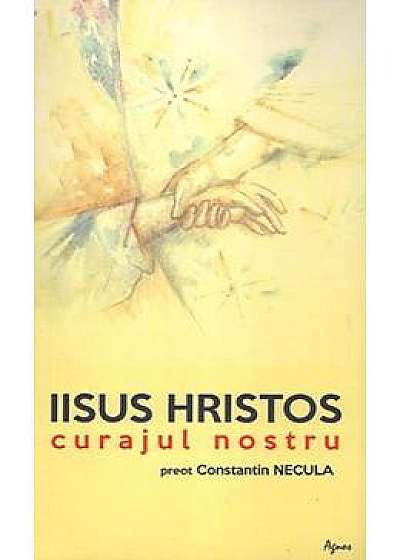 Iisus Hristos, curajul nostru - Constantin Necula
