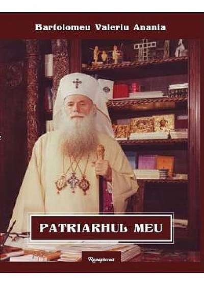 Patriarhul meu - Bartolomeu Valeriu Anania