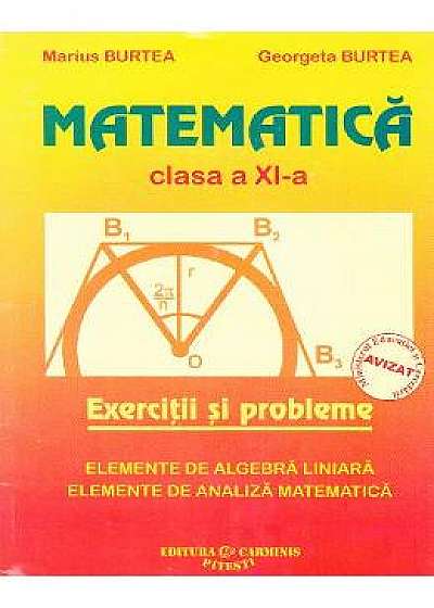 Matematica clasa 11 exercitii si probleme - Marius Burtea, Georgeta Burtea