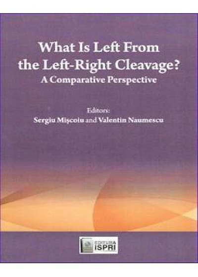 What is left from the Left-Right Cleavage? - Sergiu Miscoiu
